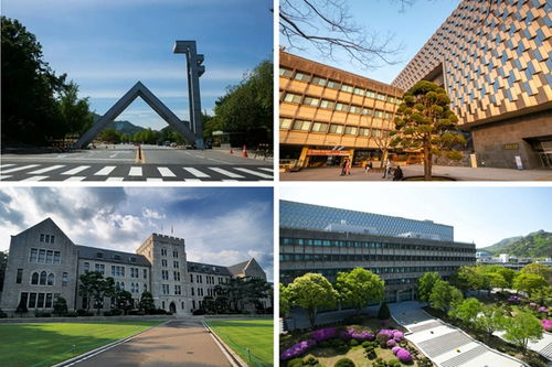 韩国大学校园风景