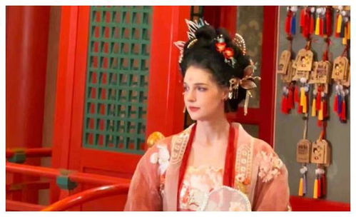 撒贝宁一家在莫高窟合影