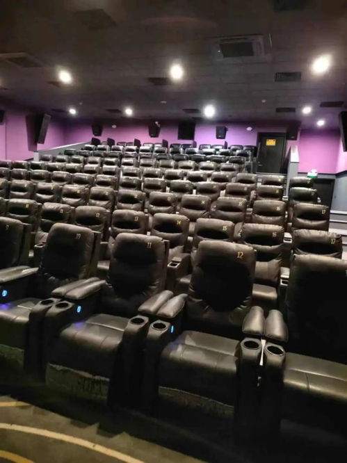 《超人》票房惨淡，导演竟将锅甩给观众？