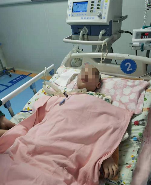 4岁男童拔牙后竟离世，医务人员停岗引关注！