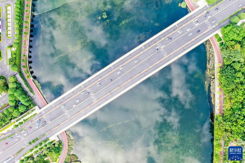 充满希望的社区景象