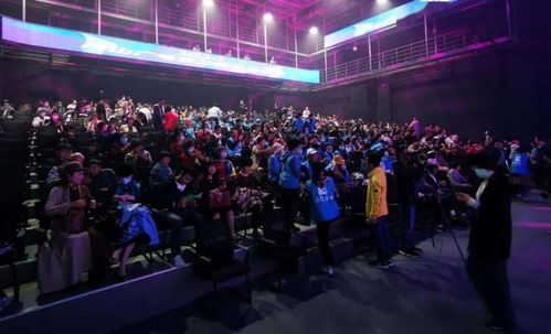 粉丝们挥舞荧光棒欢呼