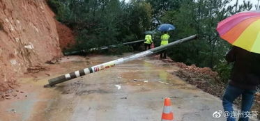 交通部门疏通道路场景