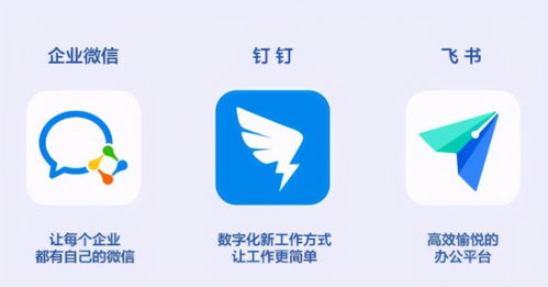 钉钉与飞书的标志