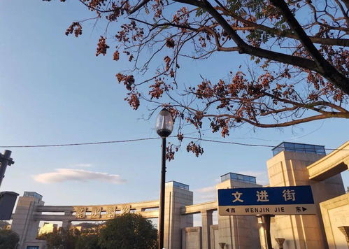 中南大学谭某兵被暂停工作的背后真相大揭秘！