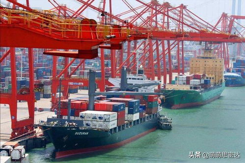 深度解析中欧联合声明背后的合作与分歧