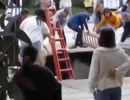 悲剧！多名学生坠入化粪池溺亡，背后真相令人揪心