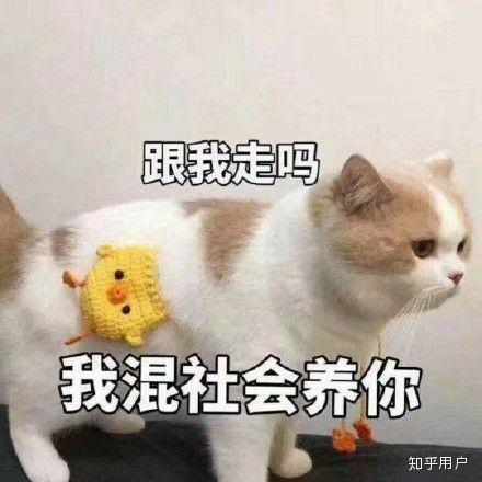 真相大白！网传溺亡大学生遗体损坏系谣言