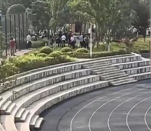 悲惨！大学生坠入化粪池，豪言背后的安全漏洞何时补？