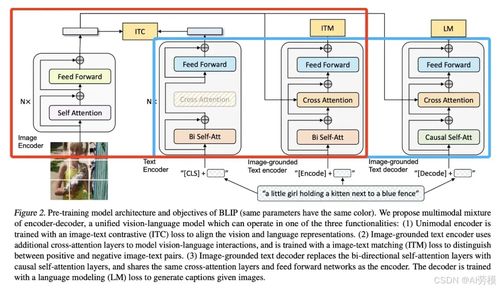 多模态模型示意图