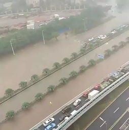 广东居民快行动！每日花三分钟清积水刻不容缓