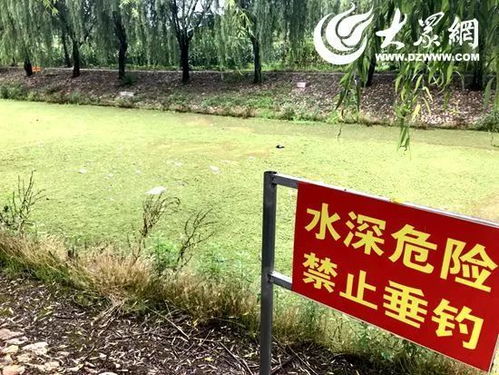 6名大学生溺亡事故新进展：3嫌犯落网