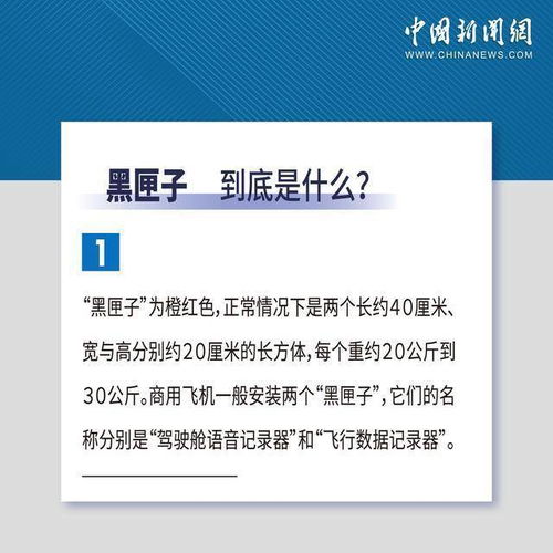 调查人员研究黑匣子