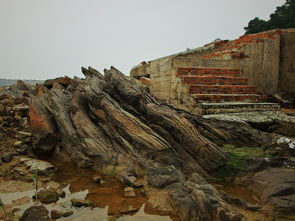 泰方发布惨重伤亡消息，11平民1军人丧生背后真相大揭秘！