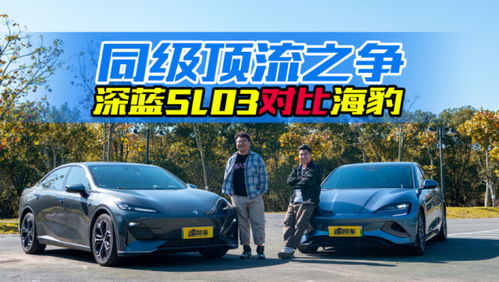 小米SU7 Max驾驶辅助事故复现：智能驾驶安全堪忧？