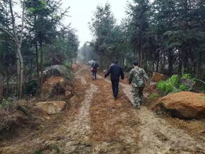 搜寻人员在崎岖山路上前行