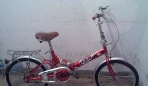 深圳惊现全球折叠自行车巨头：物理学家的创业传奇