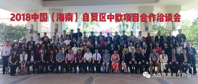 中欧合作项目现场