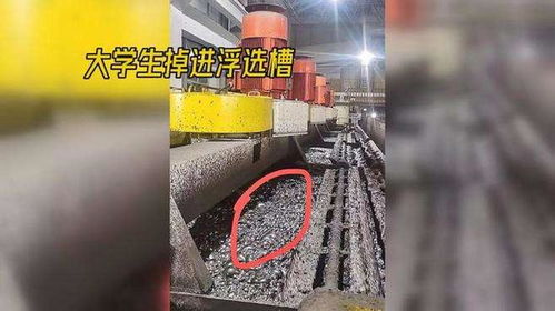 大学生浮选槽溺亡：多方责任待厘清！