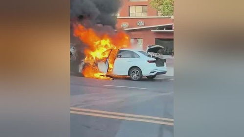 成都天府机场比亚迪失控转圈起火，背后真相引关注