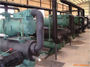 6名大学生矿难遇难，涉事矿企3人被抓背后真相大揭秘！