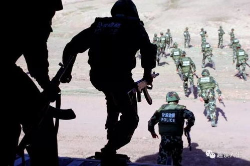 军队调整位置示意图