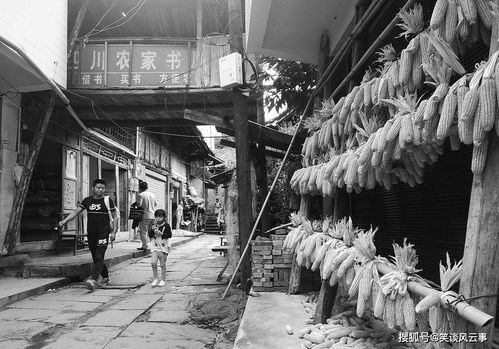 古镇老人拉着二胡