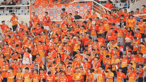 河南队庆祝胜利