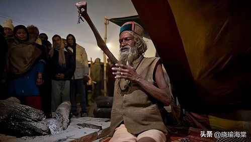 印度惊现奇葩男子，冒充南极洲男爵开假大使馆八年之久