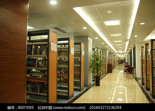 福耀科技大学图书馆内部图