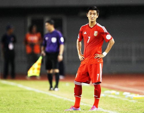 辱骂韦世豪球迷被拘留7天，如何看待这一事件？