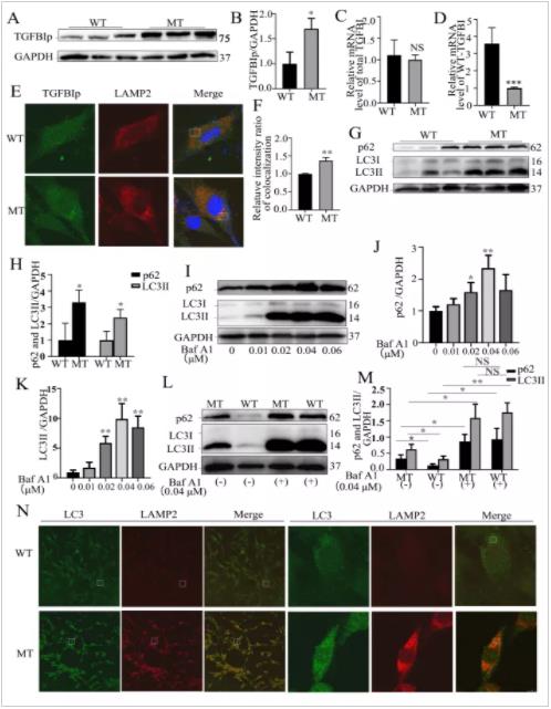 新机制相关的图标
