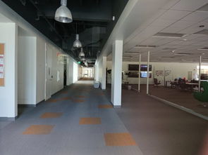 硅谷科技公司大楼