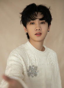 汪苏泷一语双关背后的故事