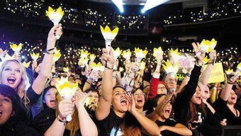 粉丝手持应援棒欢呼