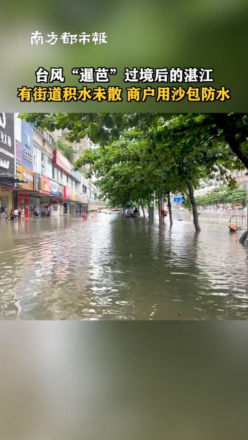 未来三天台风发展趋势深度解析