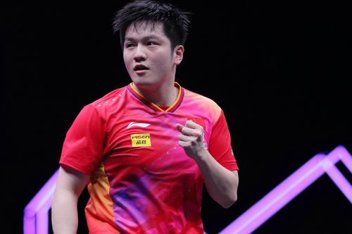 樊振东再胜林诗栋，乒坛王者风采依旧！
