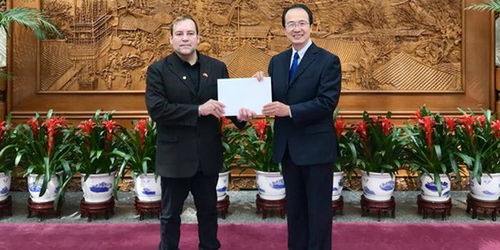 聚焦外交盛事：各国驻华大使递交国书仪式