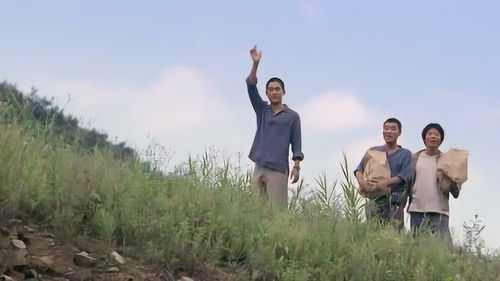 谁懂夏日少年感的含金量？