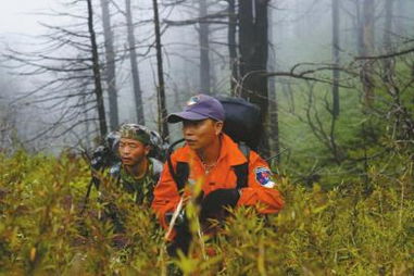 救援人员在密林开展搜救行动