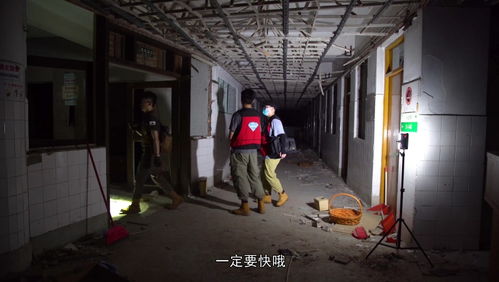 园区的戒备状态