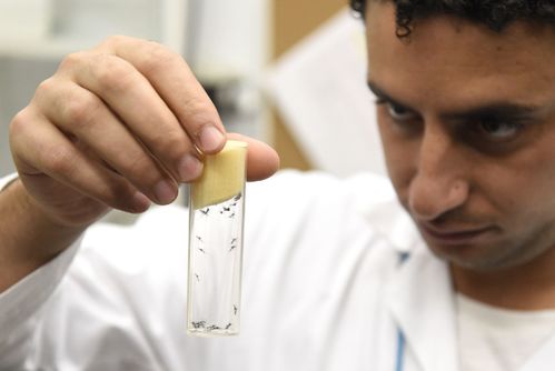 登革热病例增长数据