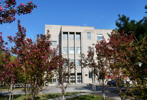 东北大学校园一角