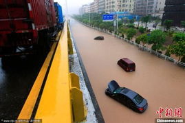 深圳被淹的道路