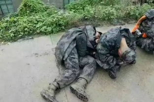 河北易县超大规模蝎子养殖场竟被洪水冲毁！