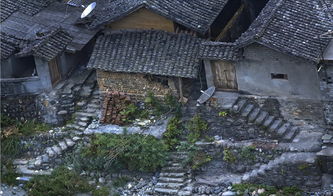 《中餐厅》：综艺界最强下饭菜！