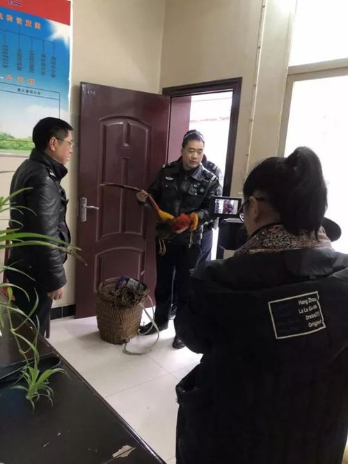 惊天泄密！通风报信助友出逃境外，国安机关揭露骇人真相