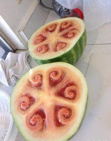 北化录取通知书超硬核，能切瓜耐烤引发热议