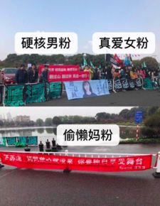 汪苏泷粉丝应援现场图