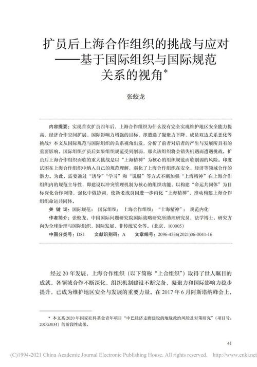 国际组织官员发言